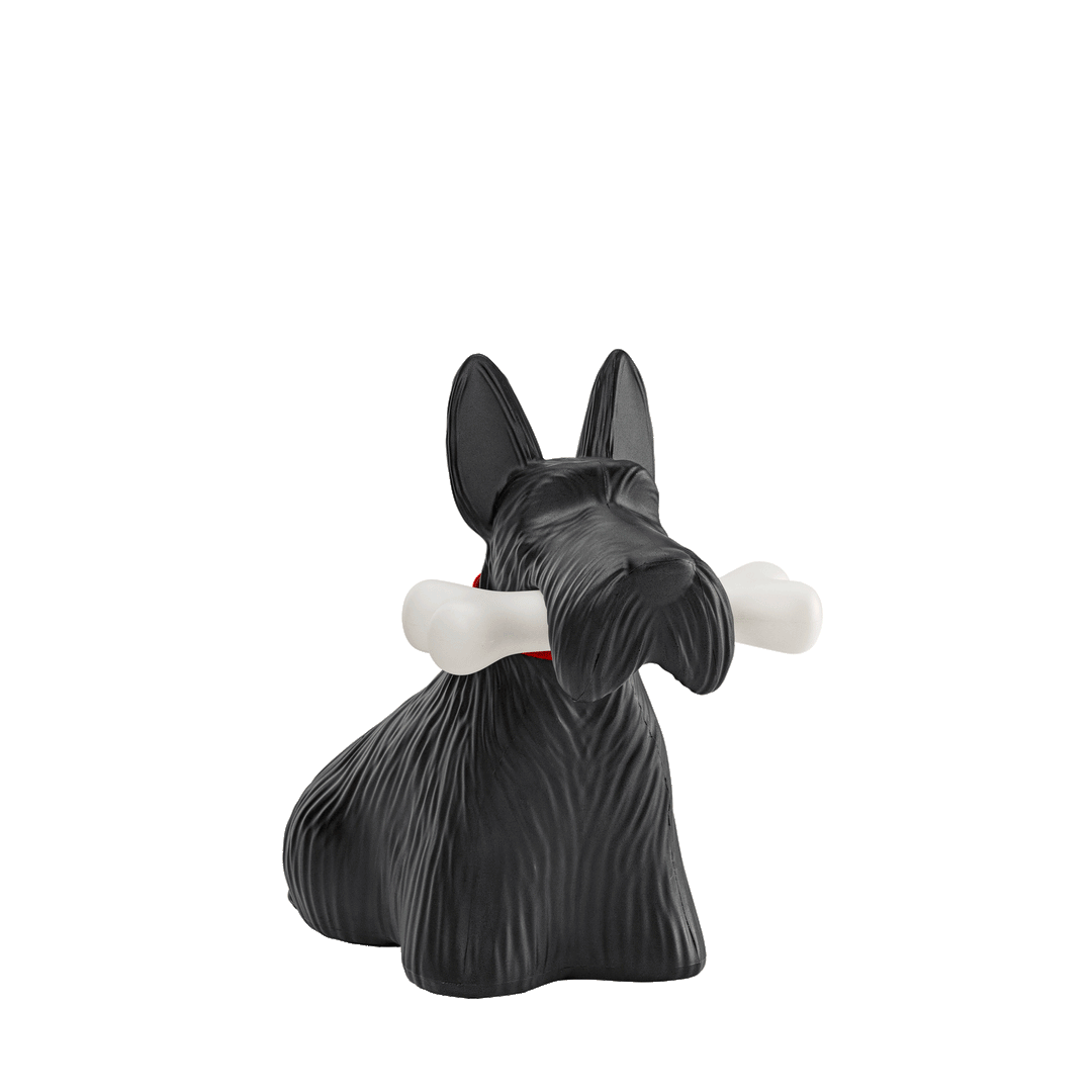 Scottie White design Stefano Giovannoni