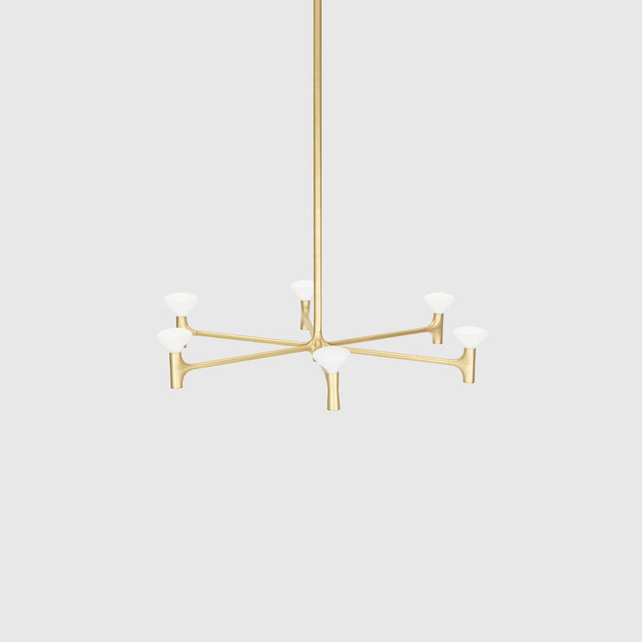 Root One-Tier Chandelier