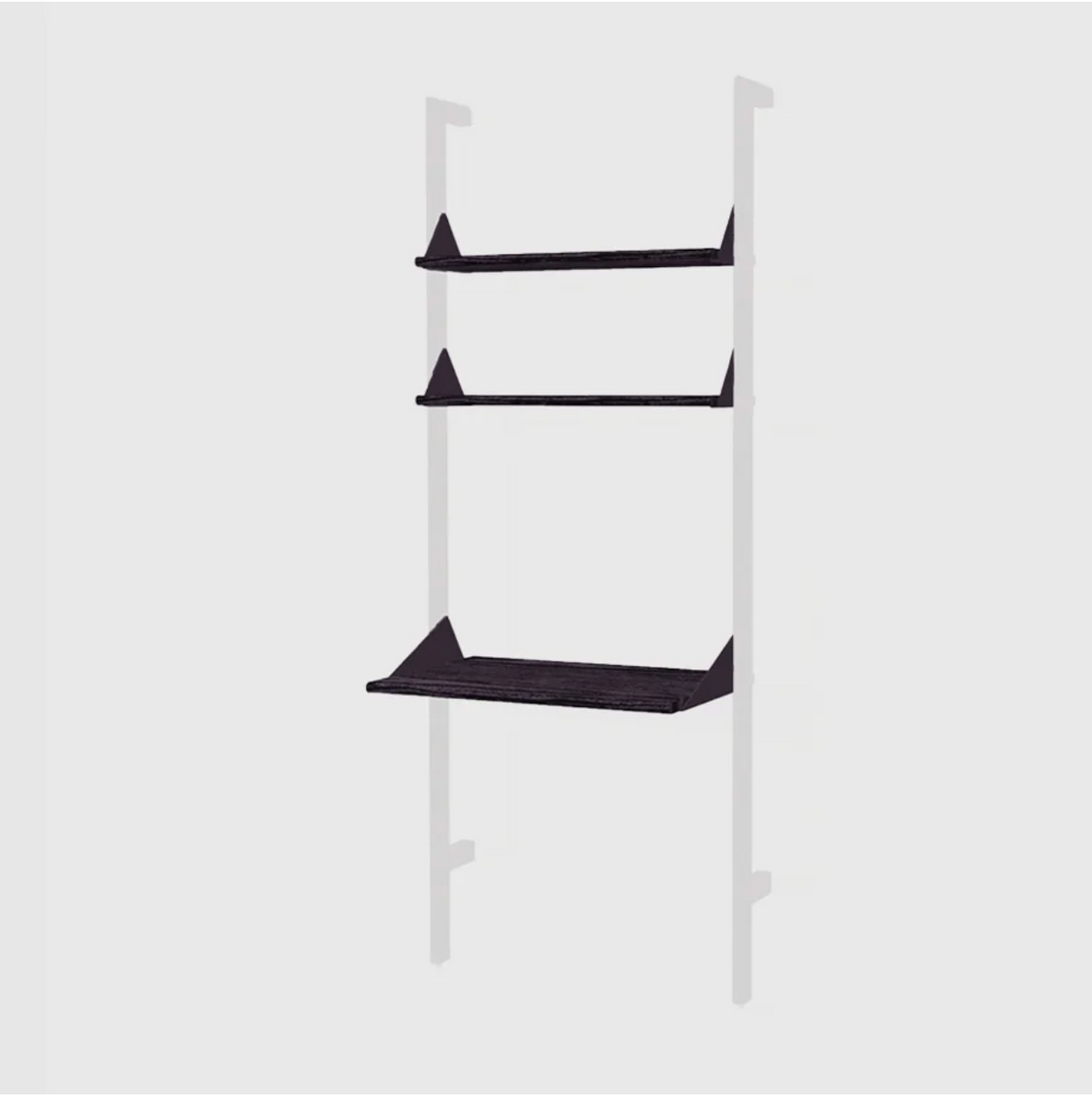 Branch Desk/Shelves Pack (2 Shelves 1 Desk)