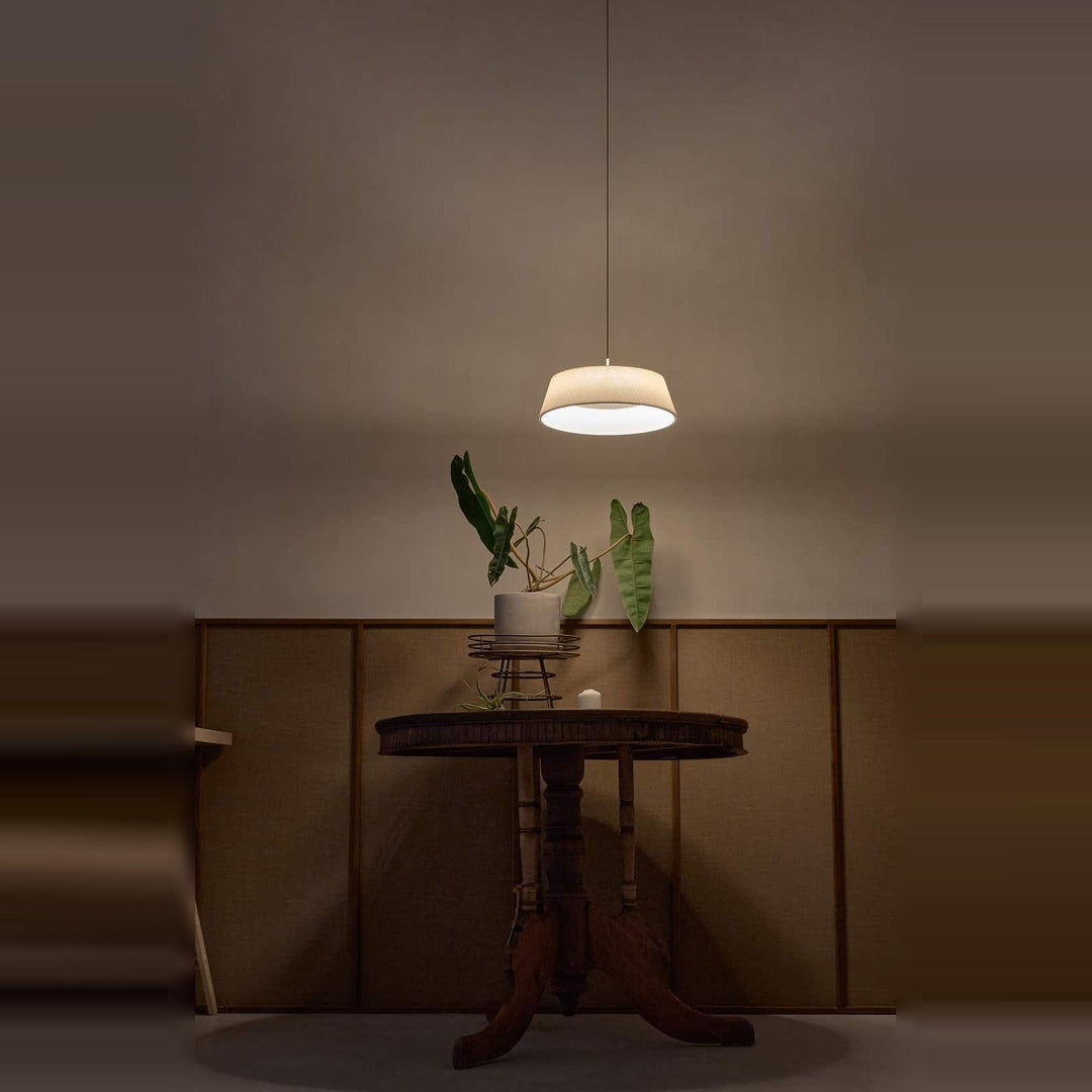 Halo Pendant by Seed Design, styled in a room setting