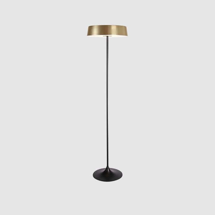 China LED Floor Lamp by Seed Design in Champagne Gold, studio shot