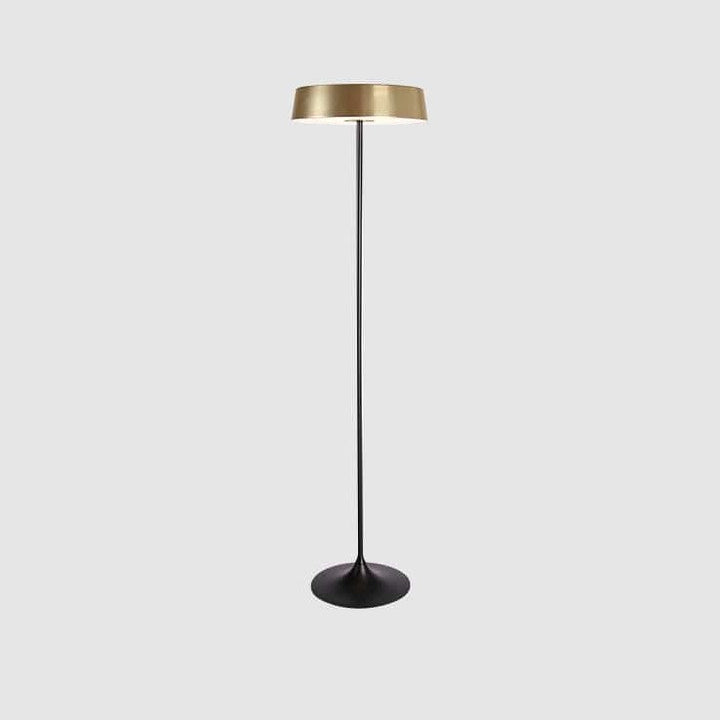 China LED Floor Lamp by Seed Design in Champagne Gold, studio shot