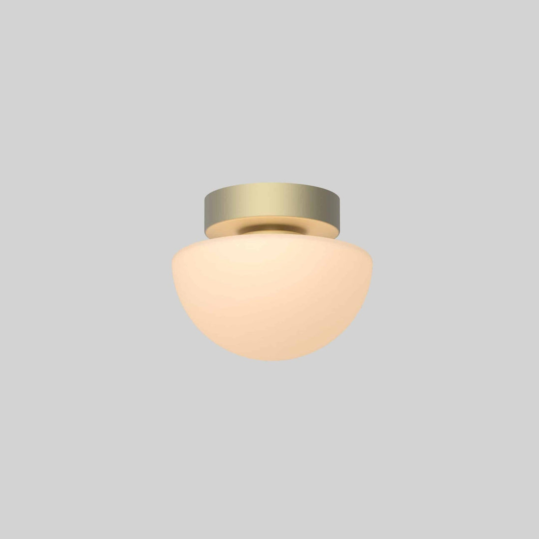 Pensee Wall/Ceiling Light by Seed Design in Champagne Gold, studio shot