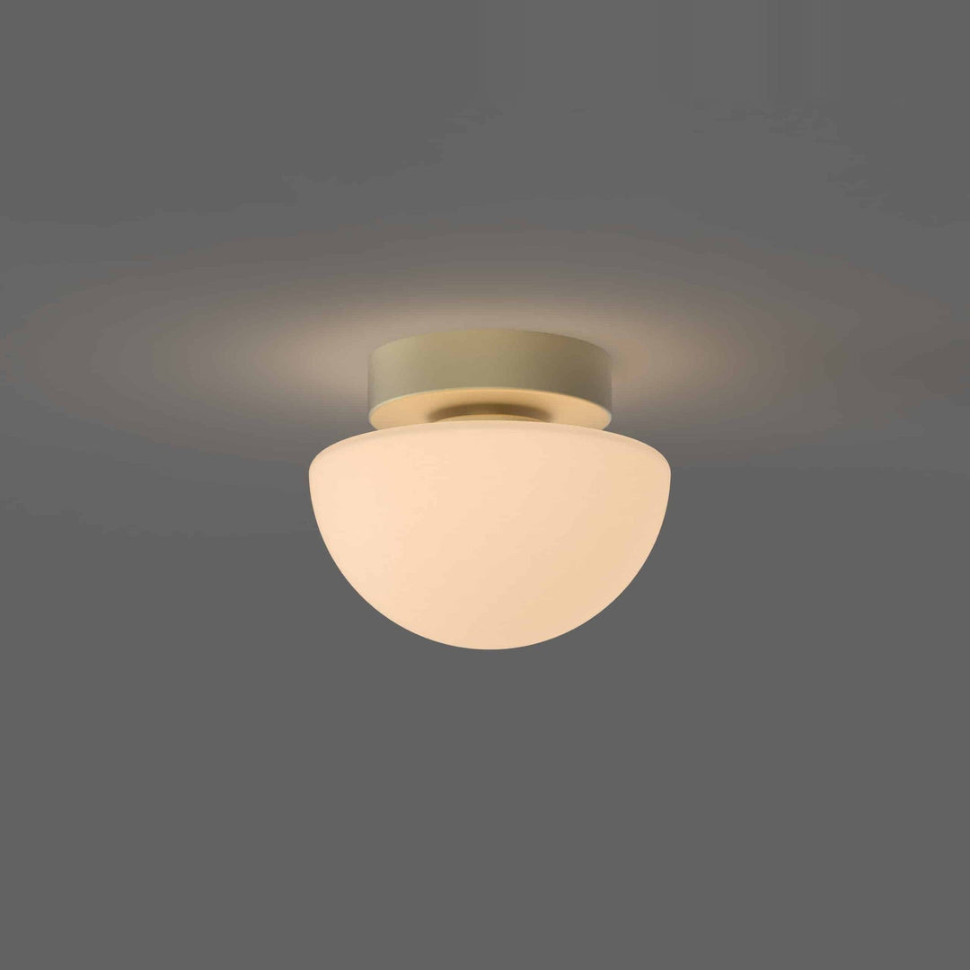 Pensee Wall/Ceiling Light by Seed Design, studio shot