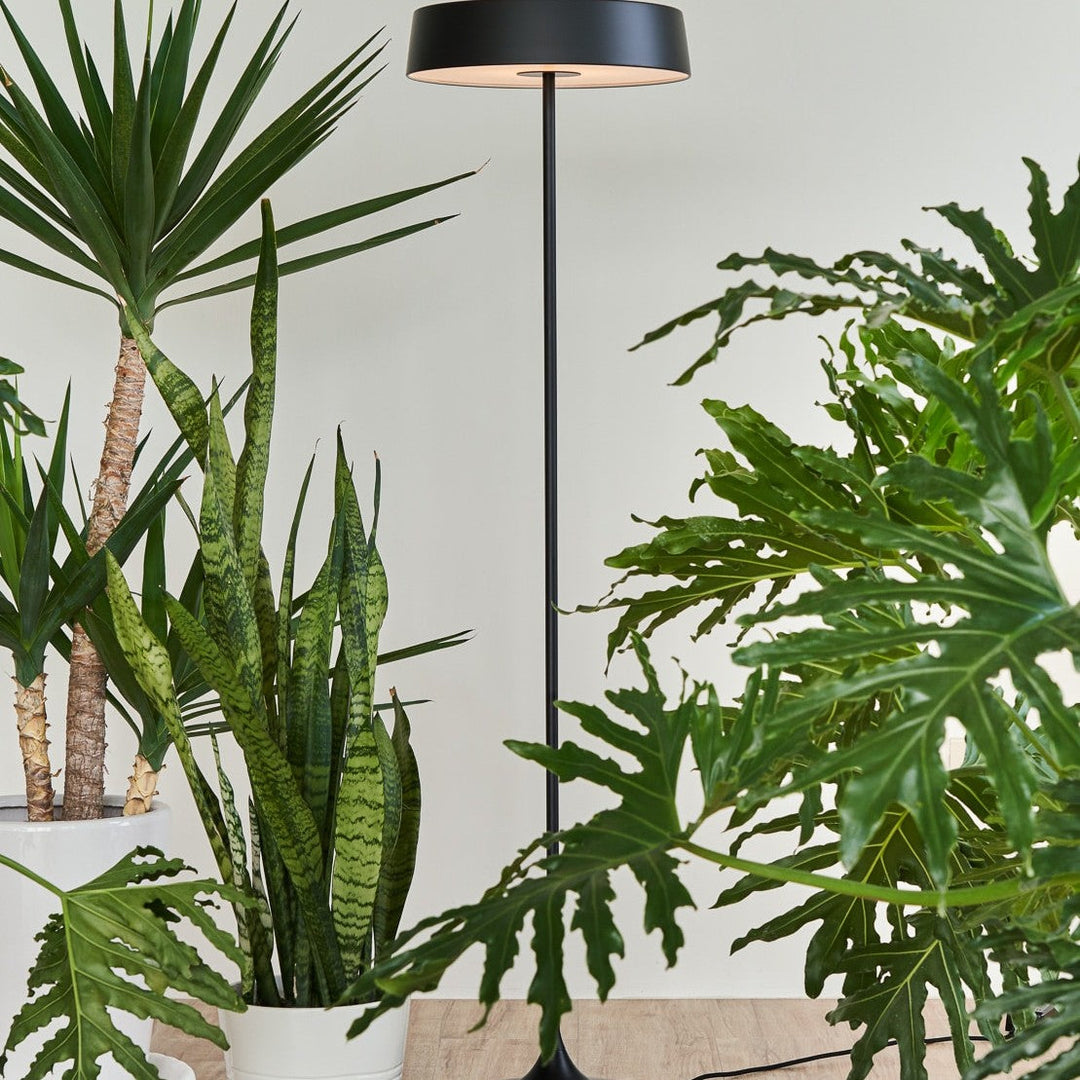 China LED Floor Lamp by Seed Design, styled in a room setting, view 4