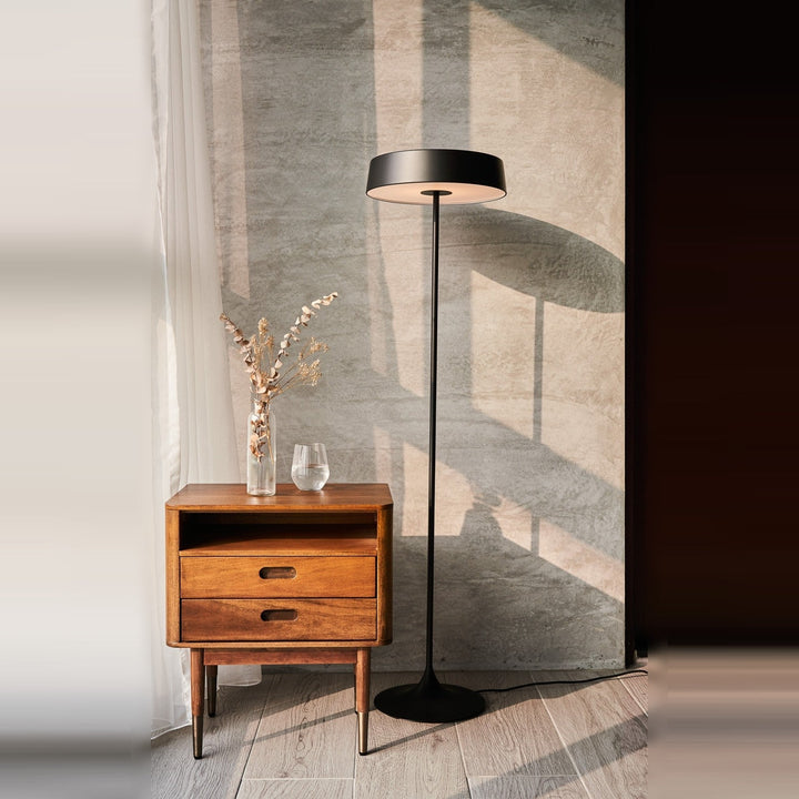 China LED Floor Lamp by Seed Design, styled in a room setting