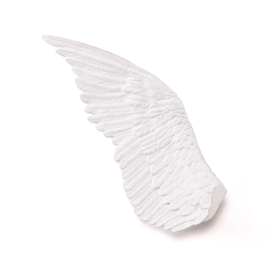 Memorabilia Mvsevm Wing Right