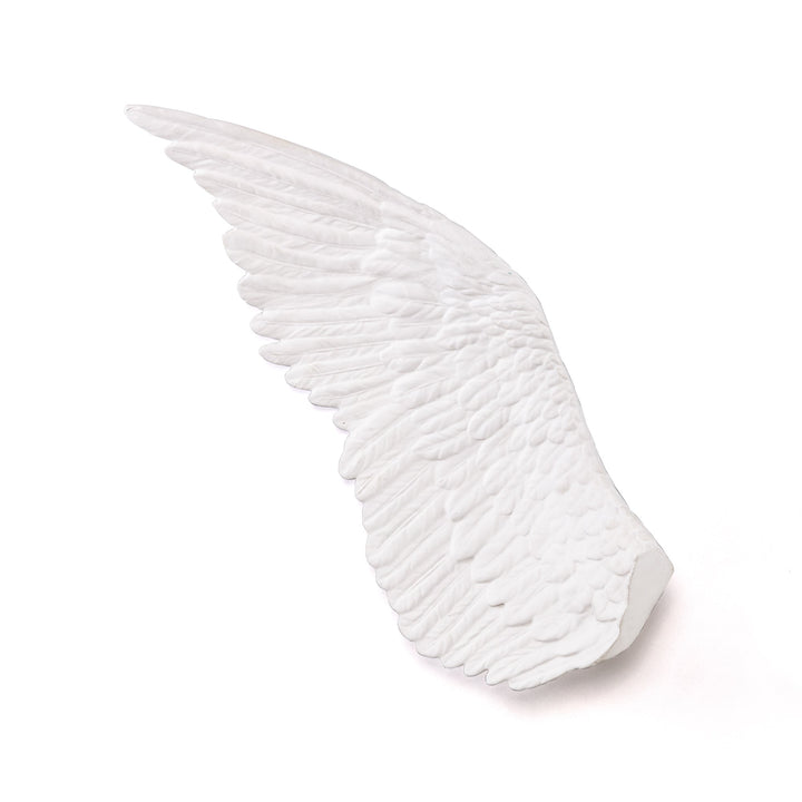 Memorabilia Mvsevm Wing Right