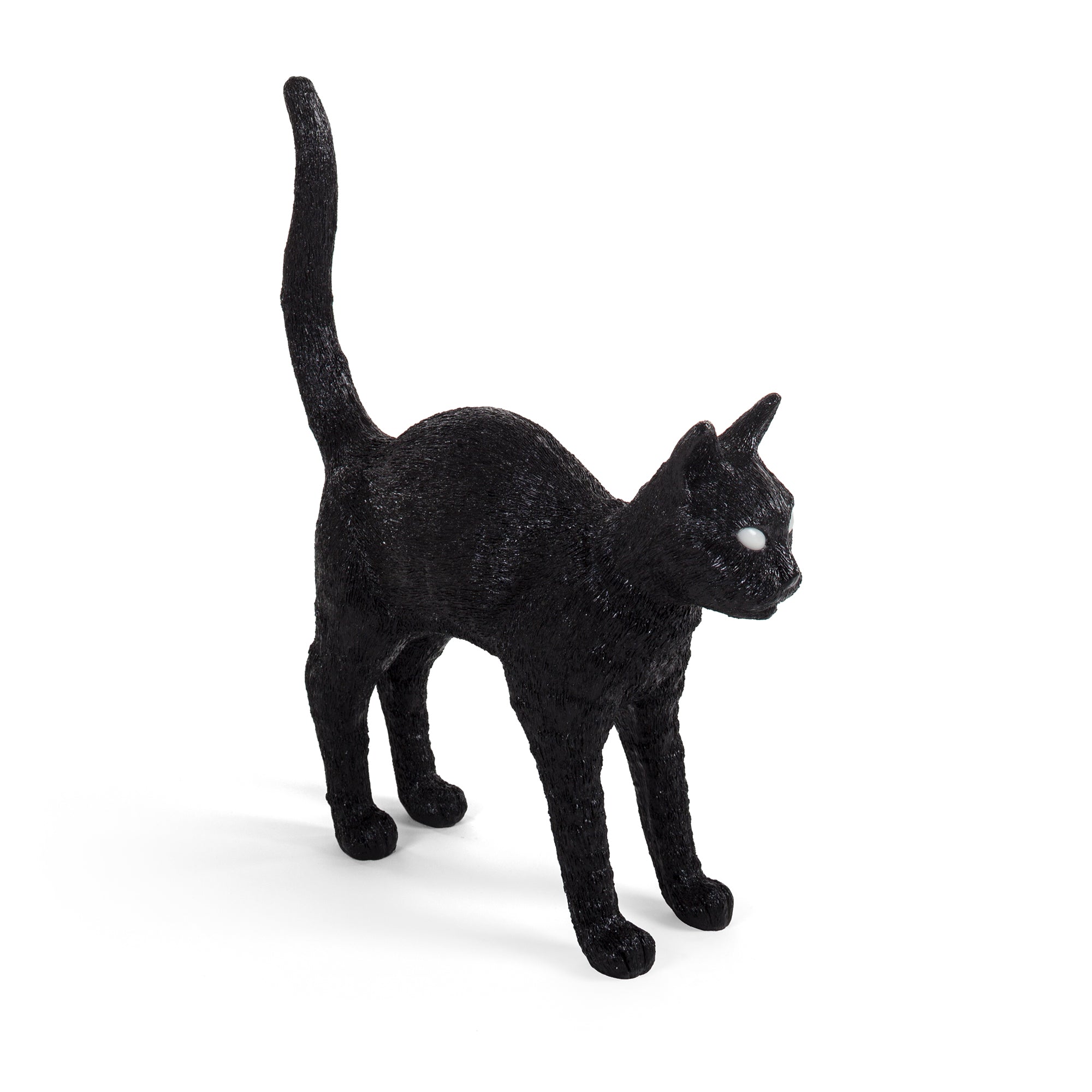 Jobby The Cat Black – Bayte