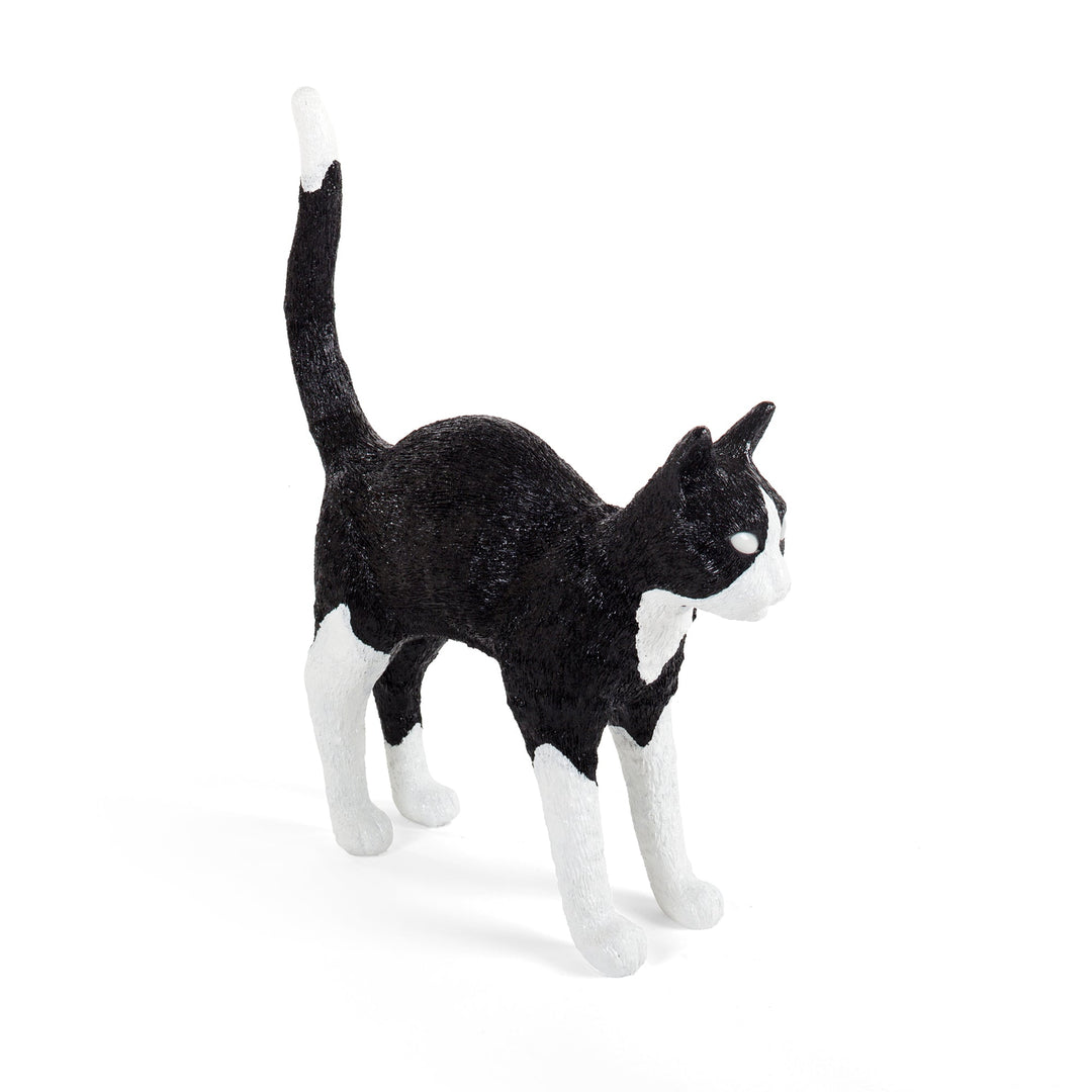 Jobby The Cat Black &amp; White