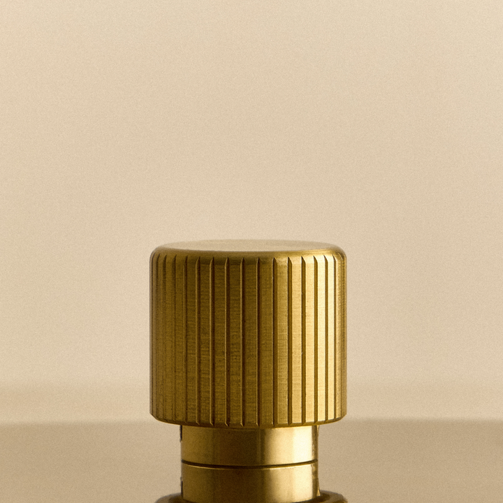 Double Rotary Wall Dimmer in Brass