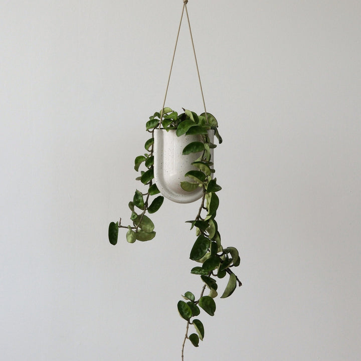Portico Planter