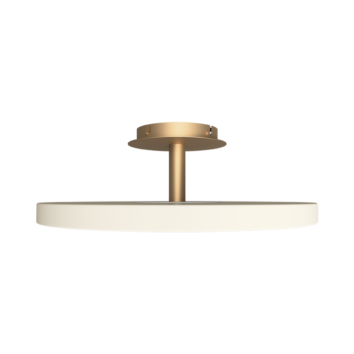 UMAGE Asteria Up Ceiling Lamp