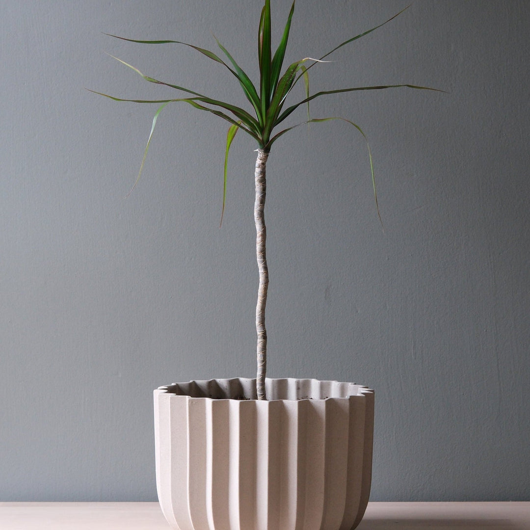Wrap Planter