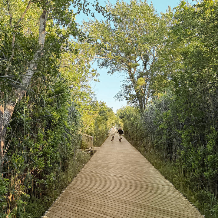 The Wall Hooks - Beige Set