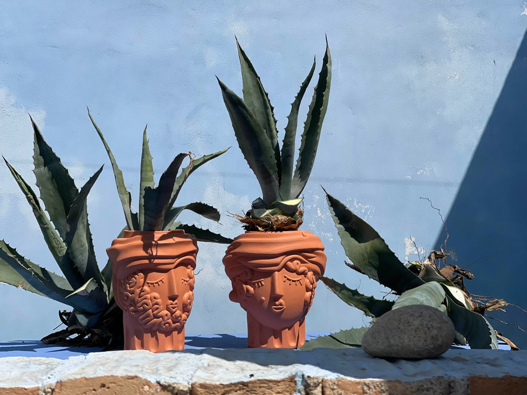 Seletti Magna Graecia Terracotta Head Vase Man, man and woman head vases planted with agaves