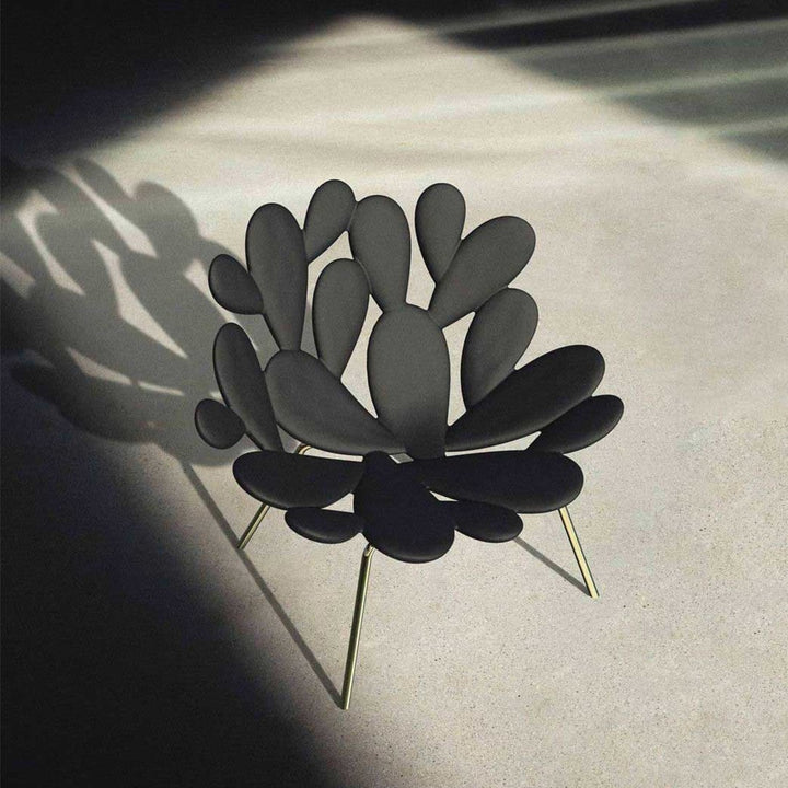 Filicudi armchair by Marcantonio, sculptural black seat with gold legs in sunlight.