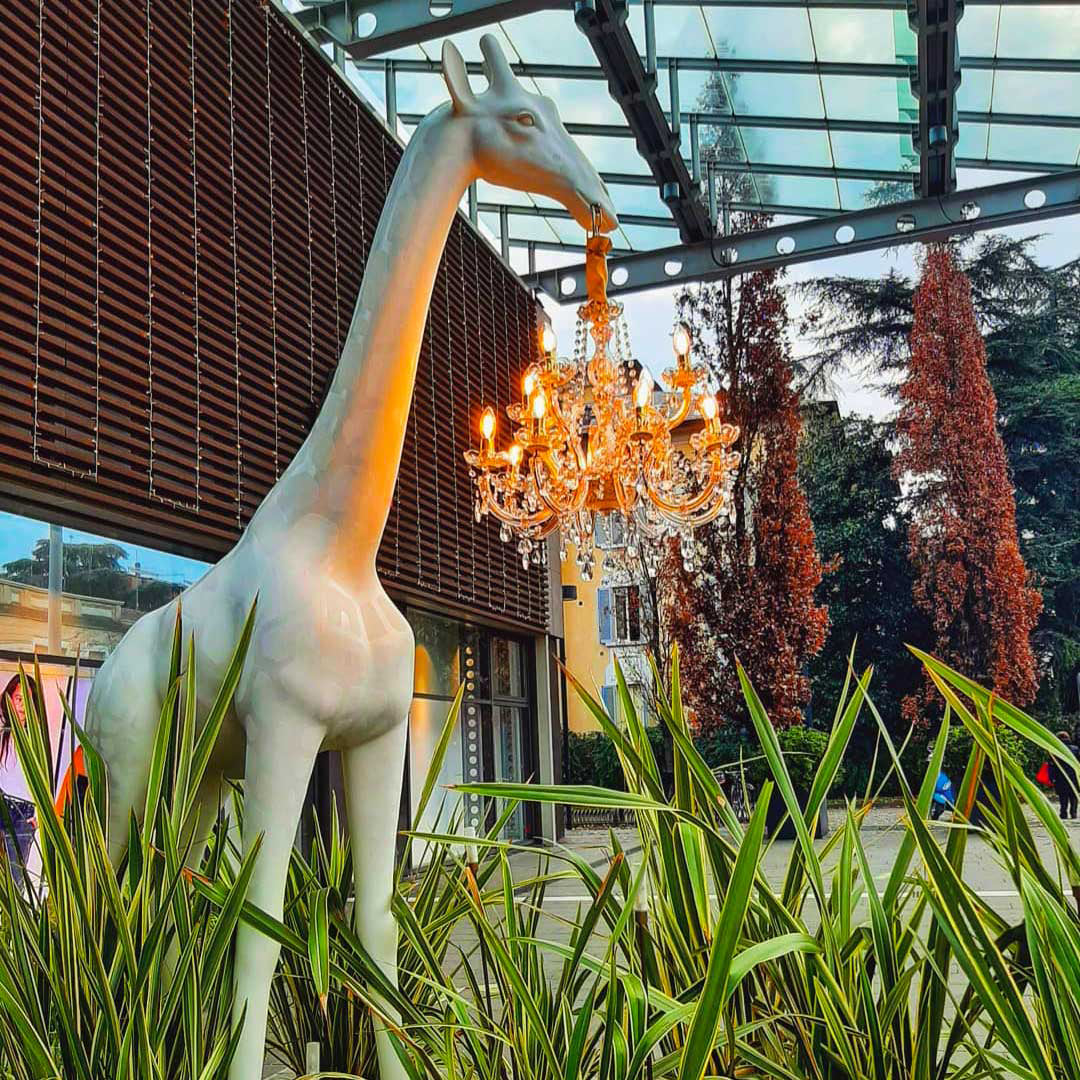 Giraffe in Love M Indoor