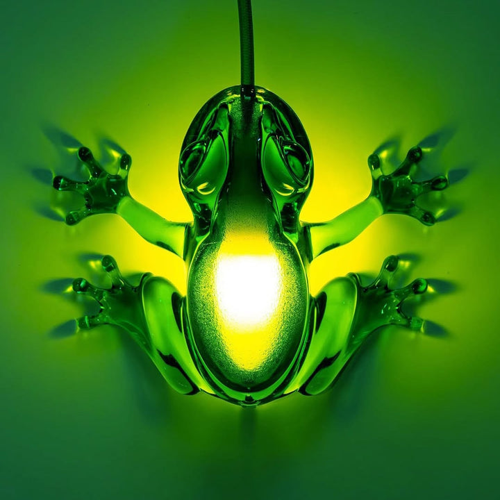 Hungry Frog Lamp