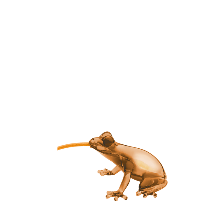Hungry Frog Lamp