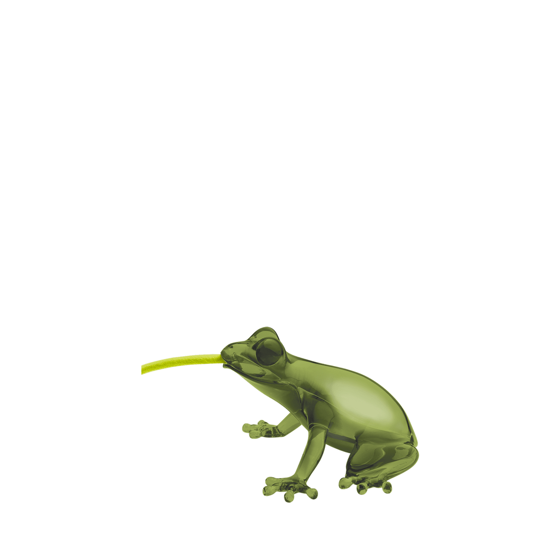 Hungry Frog Lamp