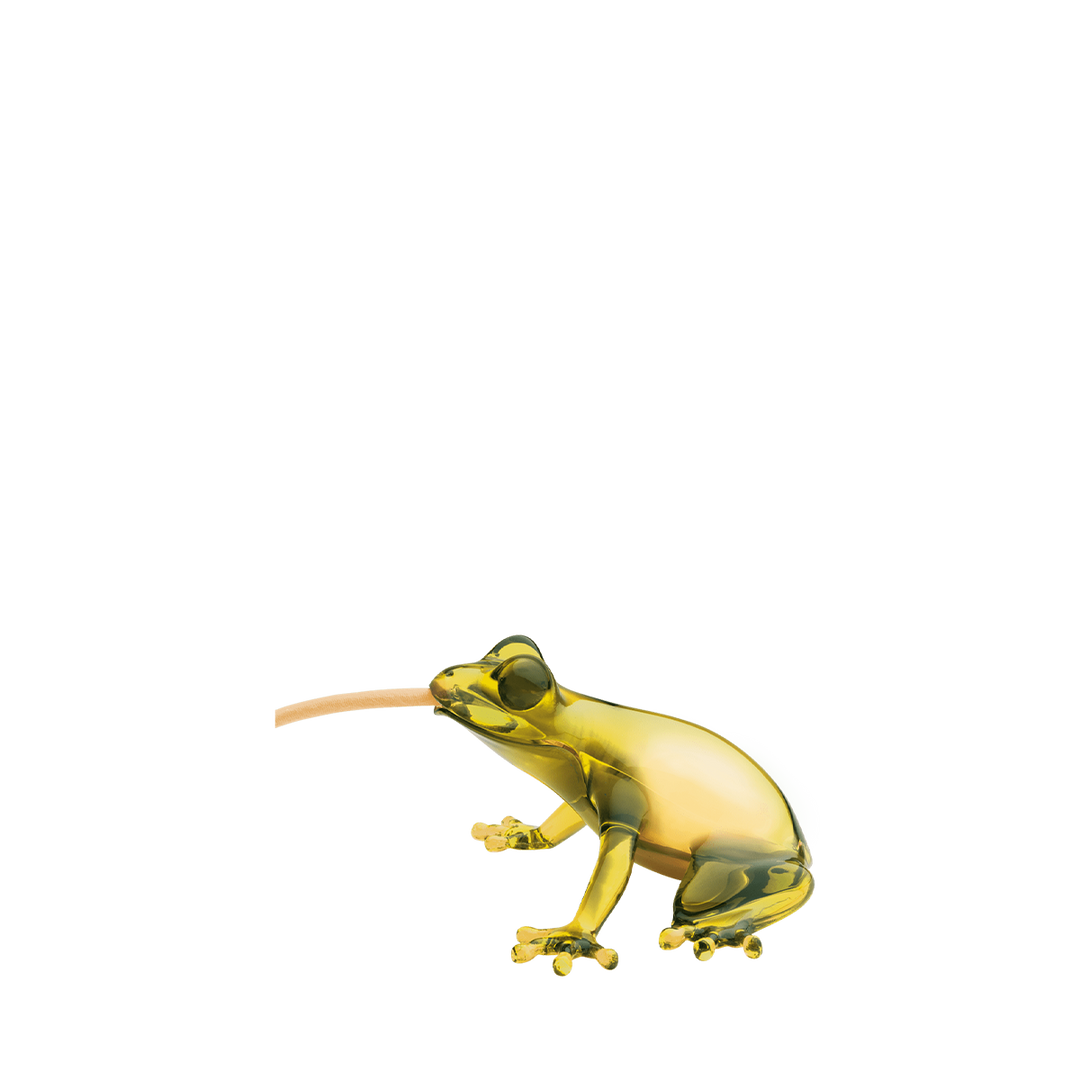 Hungry Frog Lamp