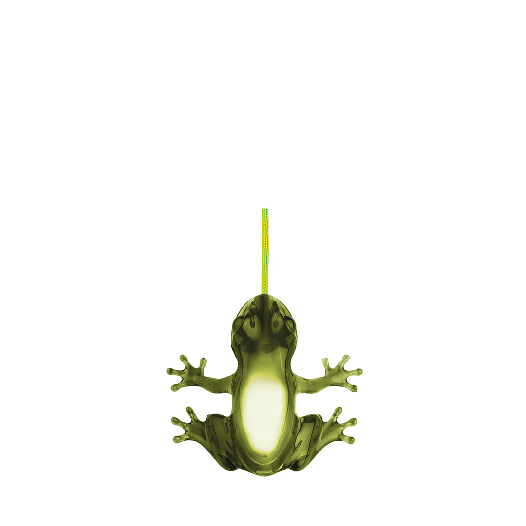 Hungry Frog Lamp