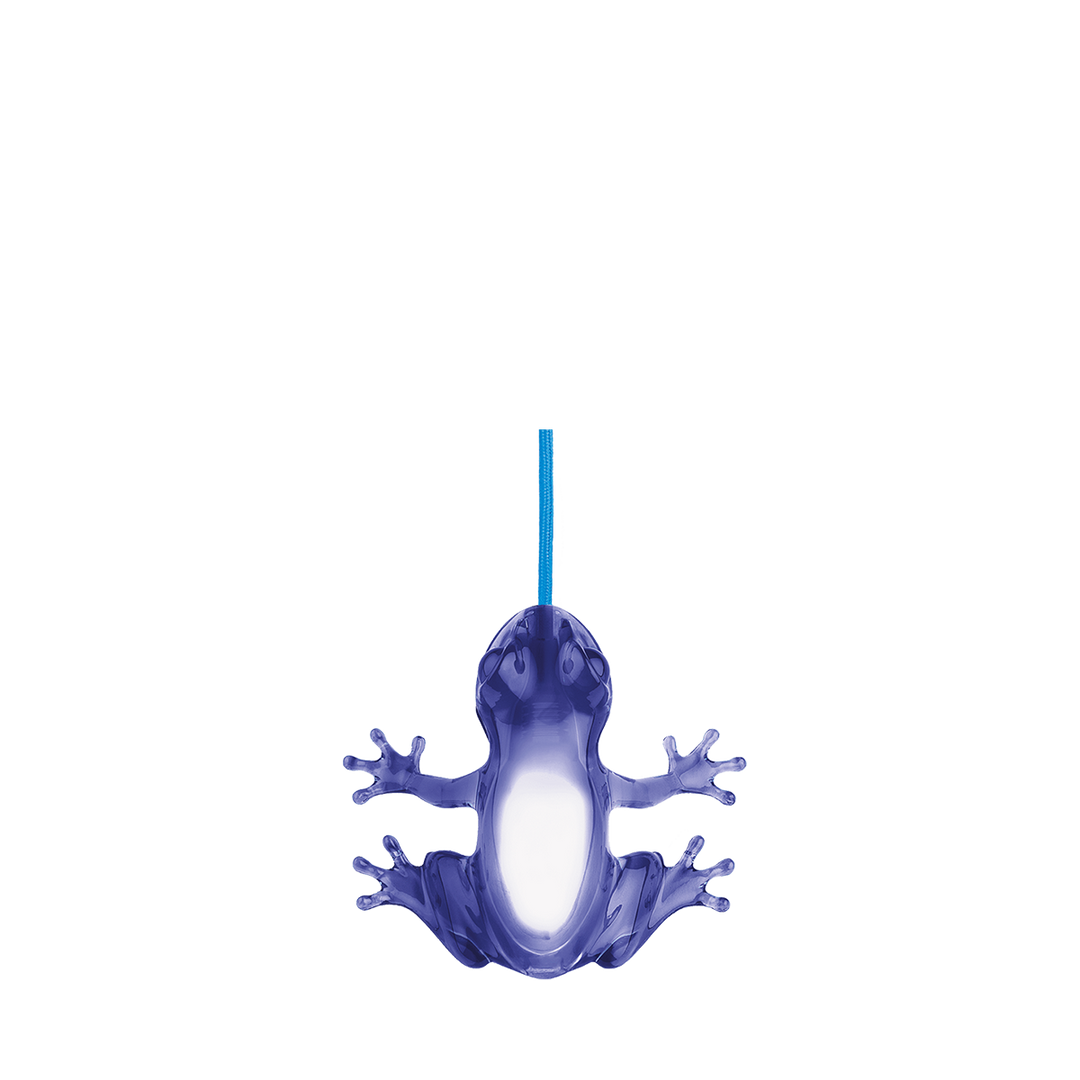 Hungry Frog Lamp