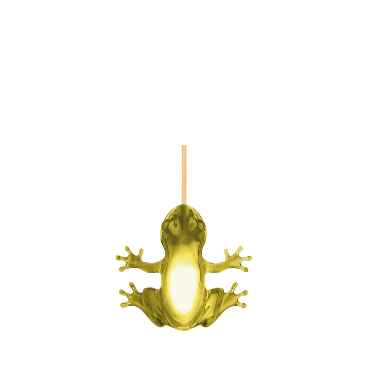Hungry Frog Lamp