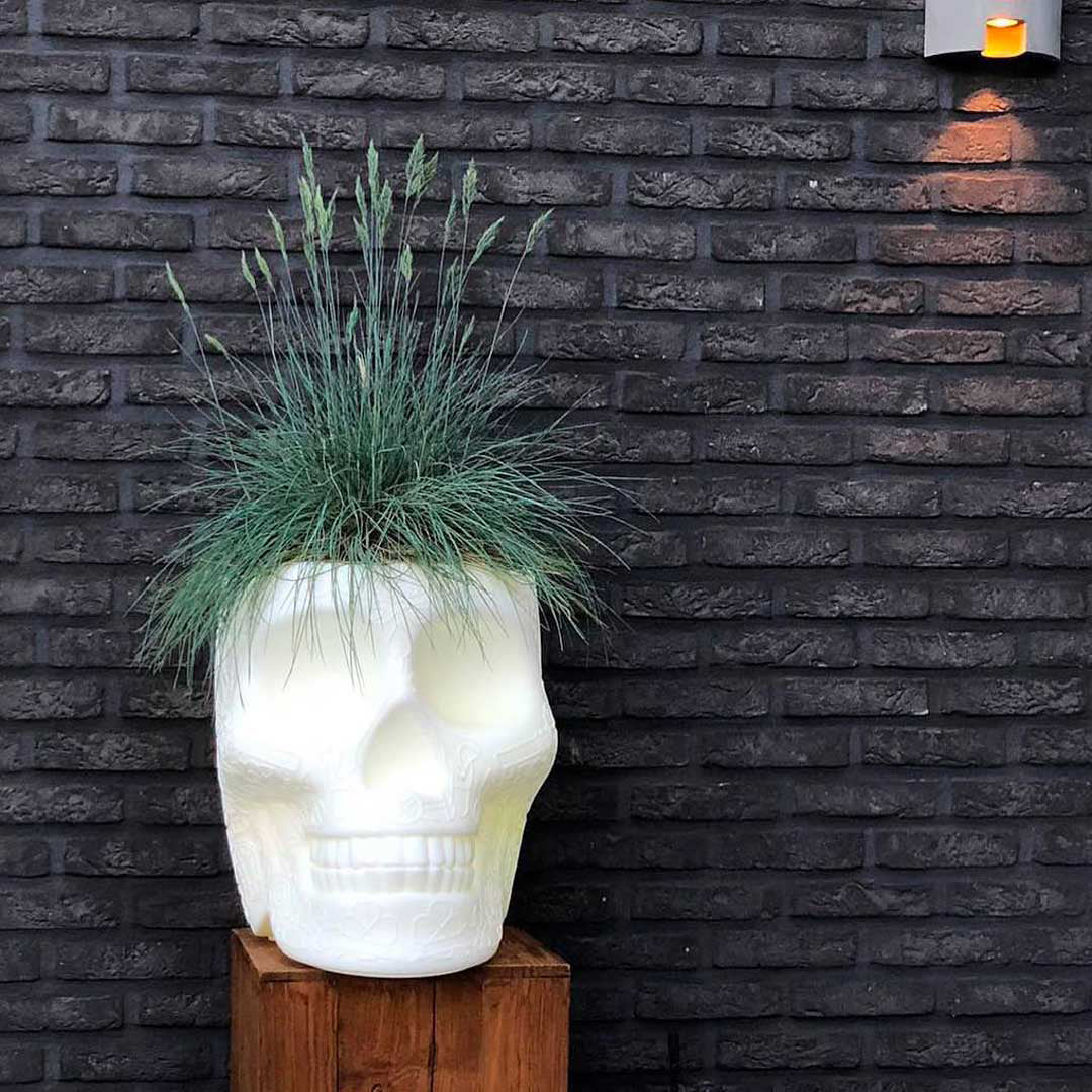 Mexico Planter and Champagne Cooler Ivory design Studio Job