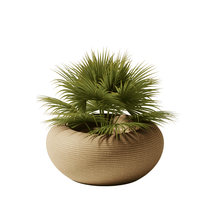 Nami Planter Mix