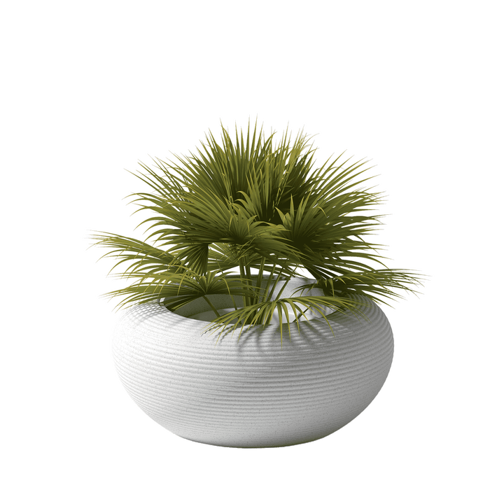 Nami Planter Mix