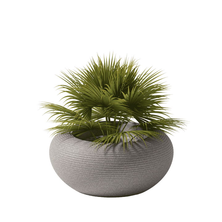 Nami Planter Mix