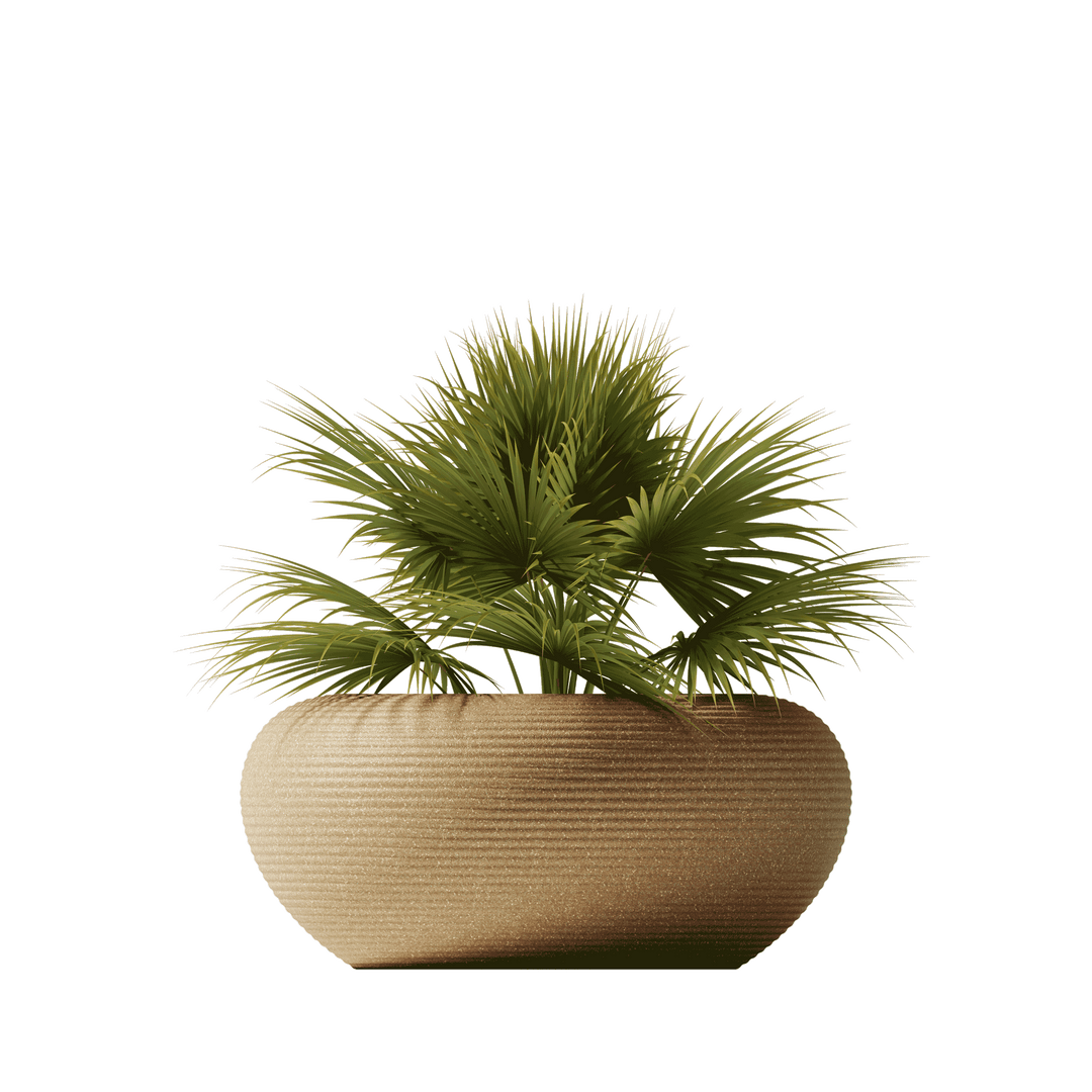 Nami Planter Mix