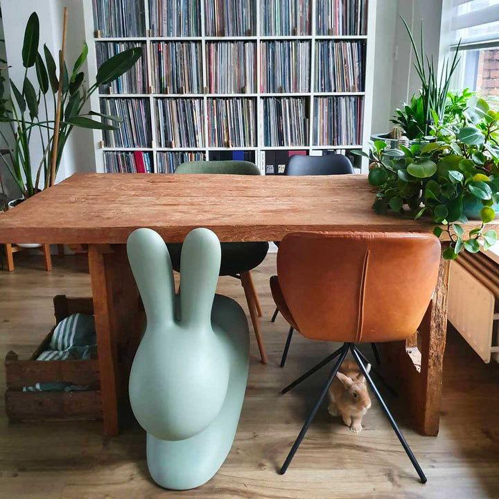 Rabbit Chair