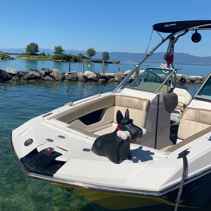 Scottie White design Stefano Giovannoni