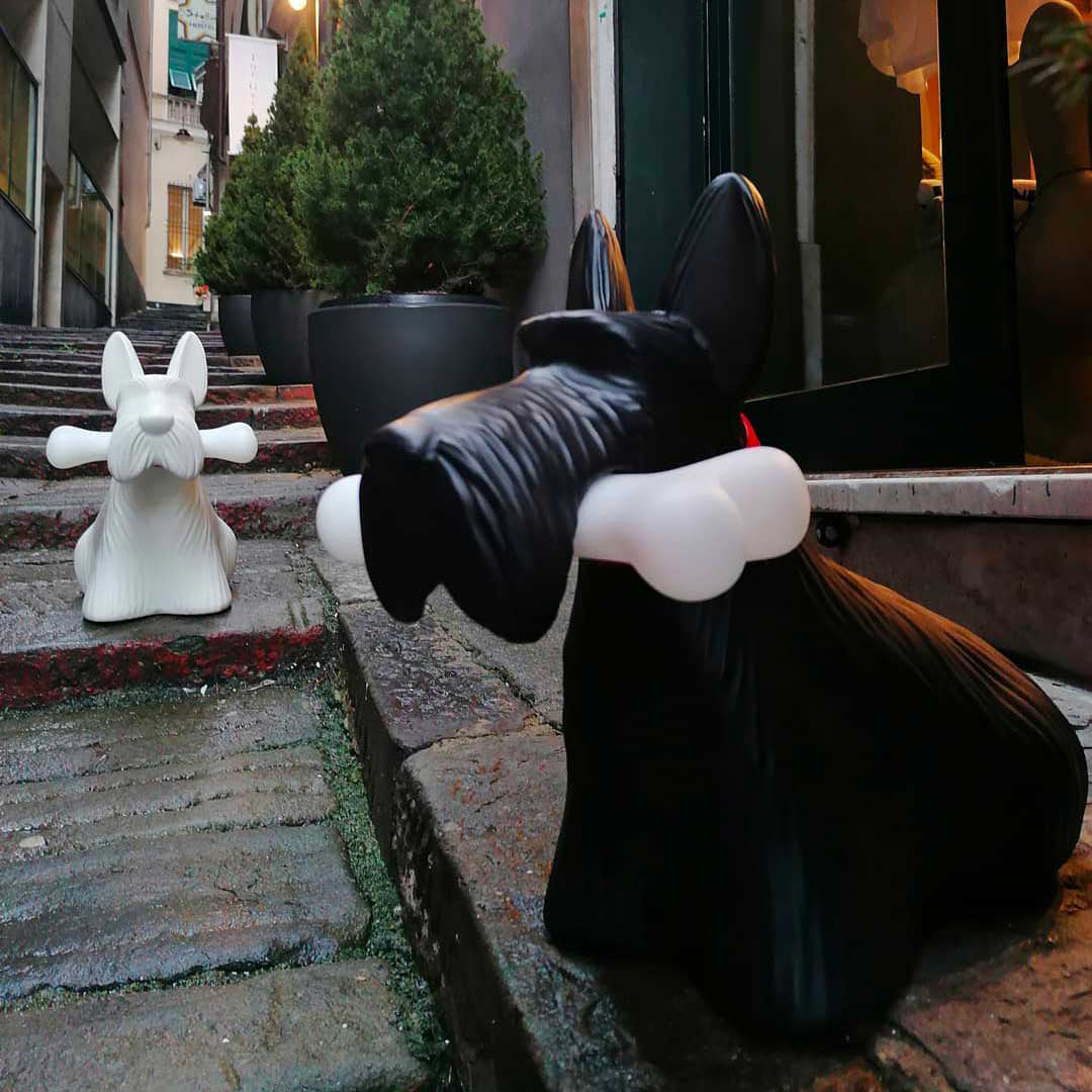 Scottie White design Stefano Giovannoni