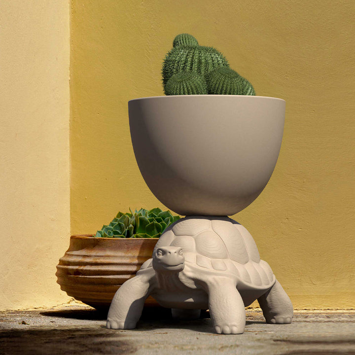 Turtle Carry Planter and Champagne Cooler by Qeeboo