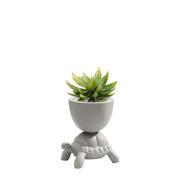 Turtle Carry XS Ceramic Planter