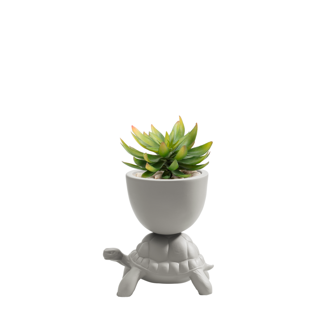 Turtle Carry XS Ceramic Planter