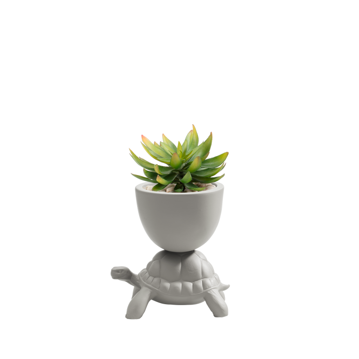 Turtle Carry XS Ceramic Planter