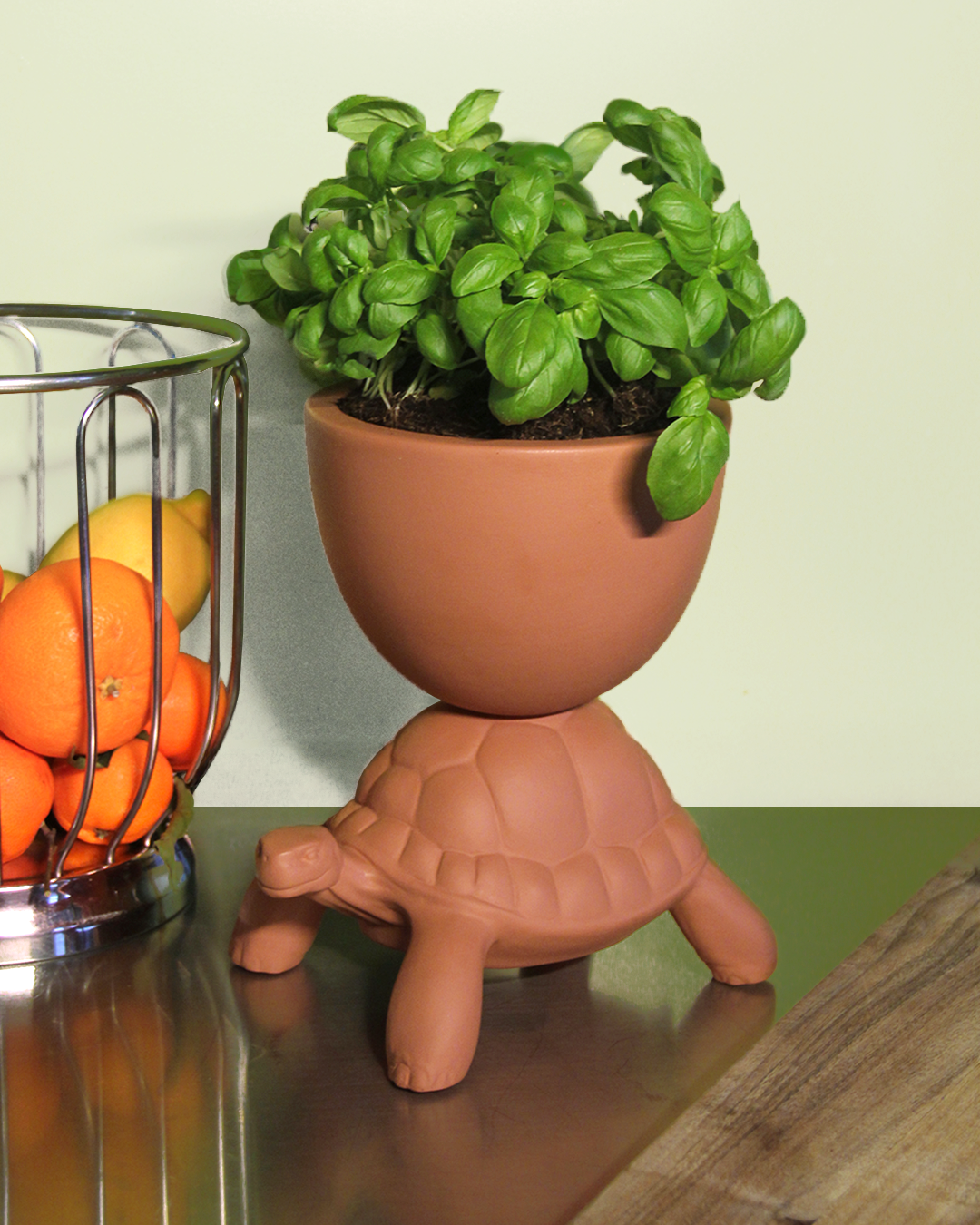 Turtle Carry XS Ceramic Planter by Qeeboo