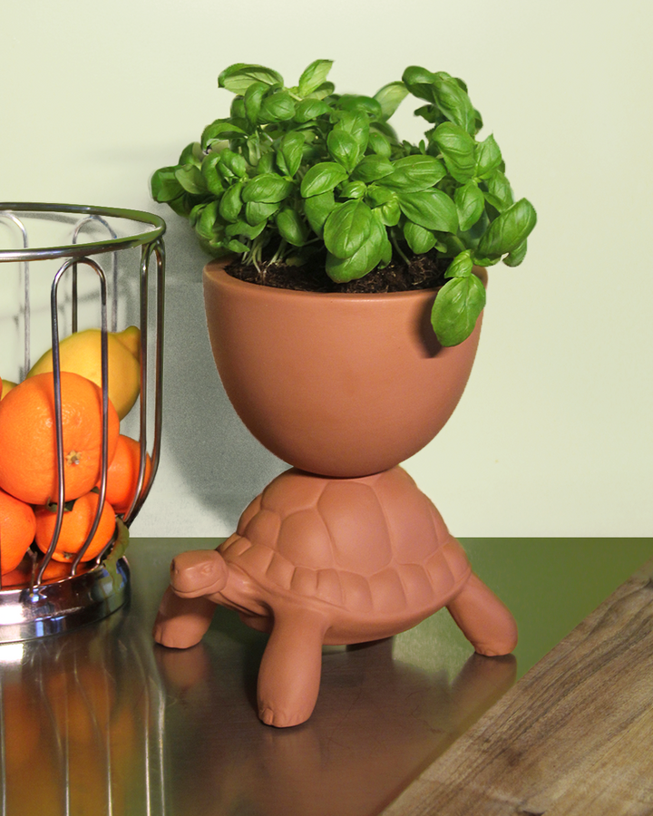 Turtle Carry XS Ceramic Planter by Qeeboo