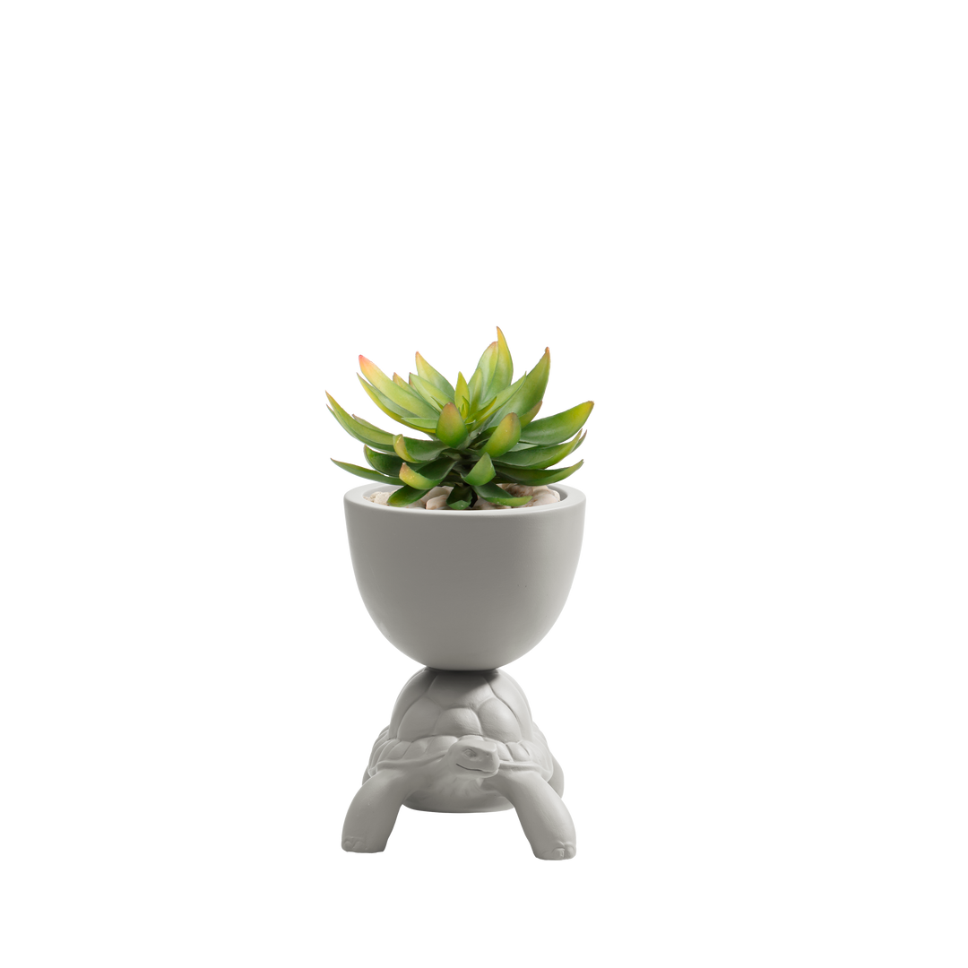 Turtle Carry XS Ceramic Planter