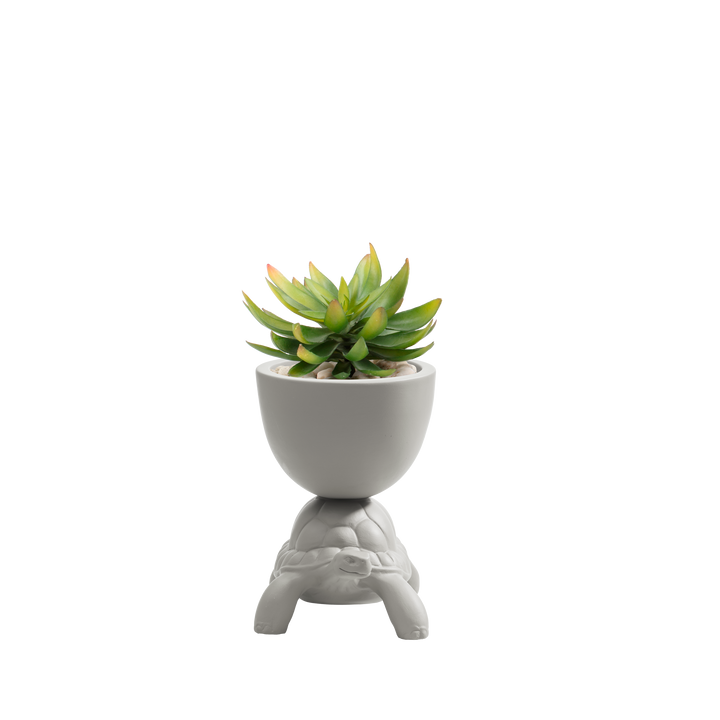 Turtle Carry XS Ceramic Planter