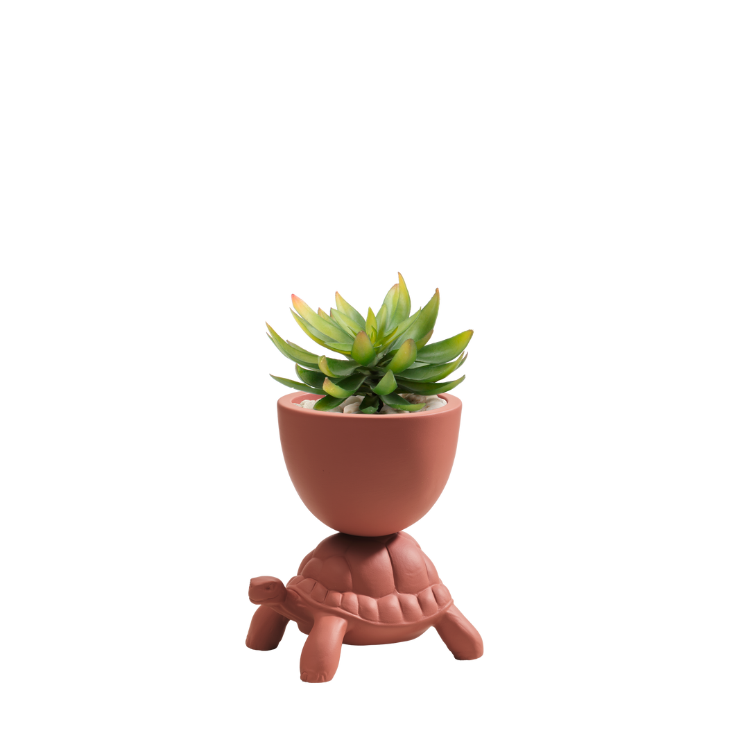 Turtle Carry XS Ceramic Planter
