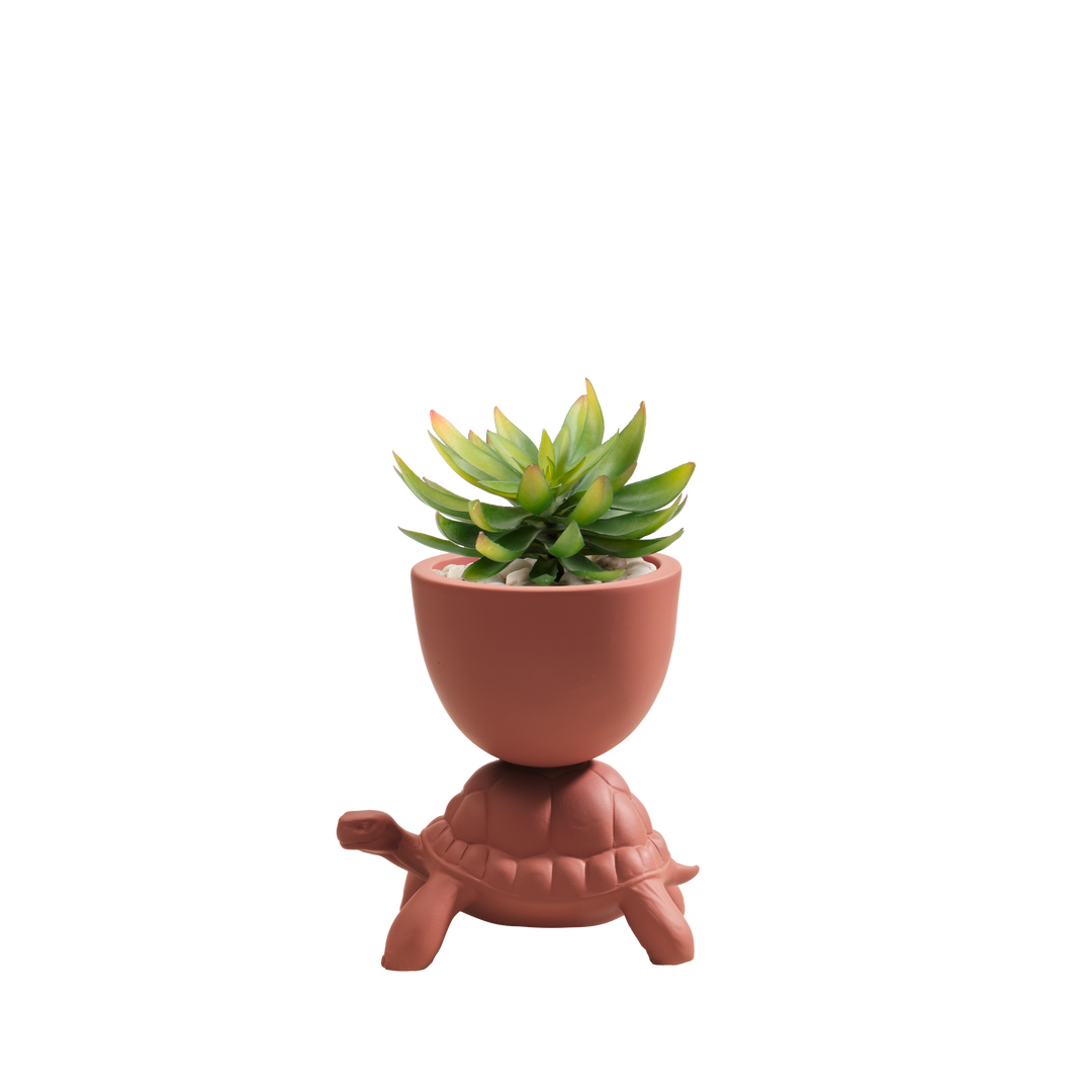 Turtle Carry XS Ceramic Planter