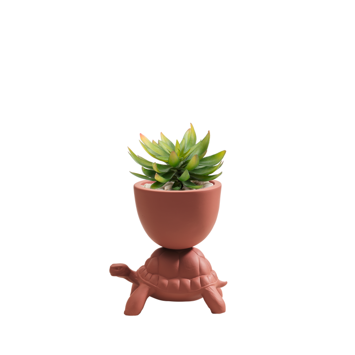 Turtle Carry XS Ceramic Planter