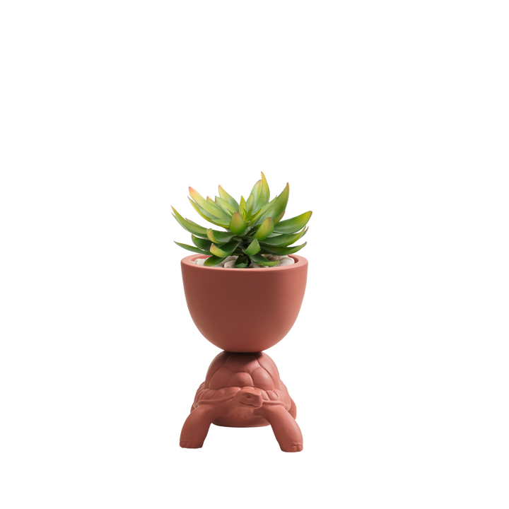 Turtle Carry XS Ceramic Planter