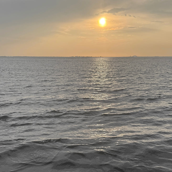 The Paper Towel Keeper - Walnut/Gray